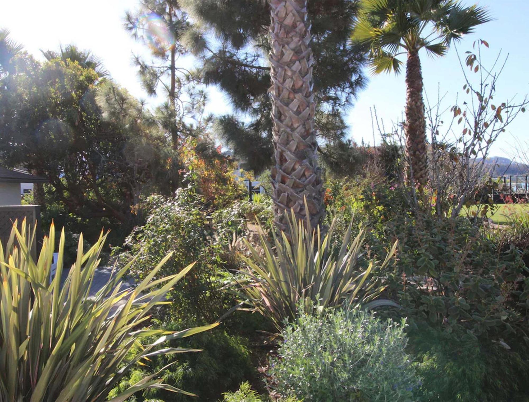 Back Bay Inn Los Osos Exterior foto