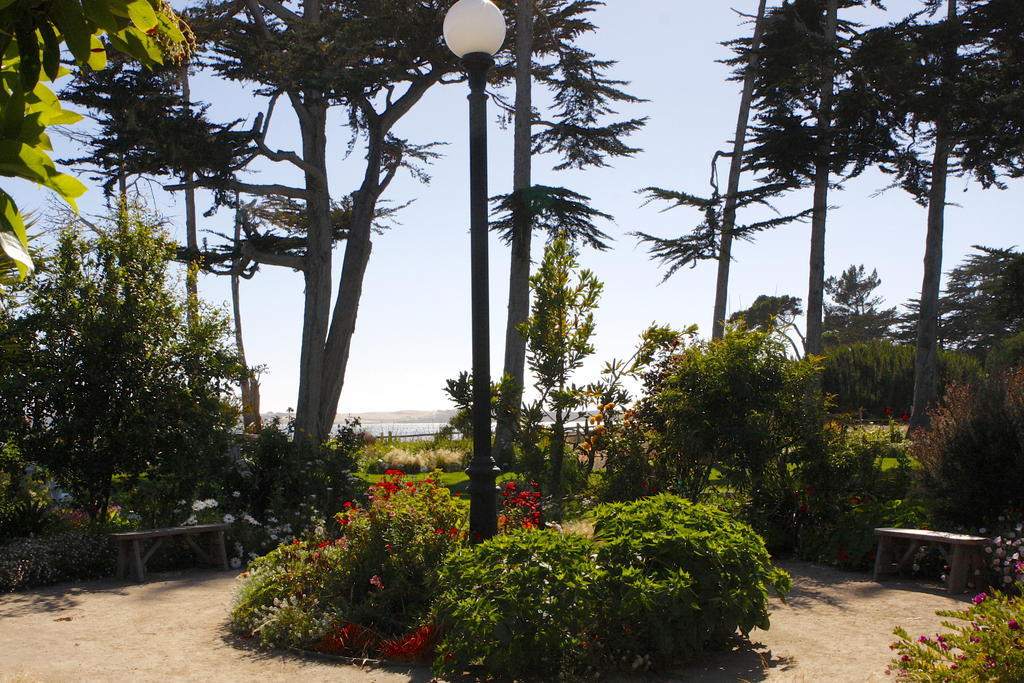 Back Bay Inn Los Osos Exterior foto